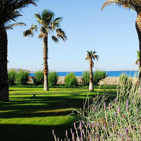 Villa Bellonia Naoussa Esterno foto