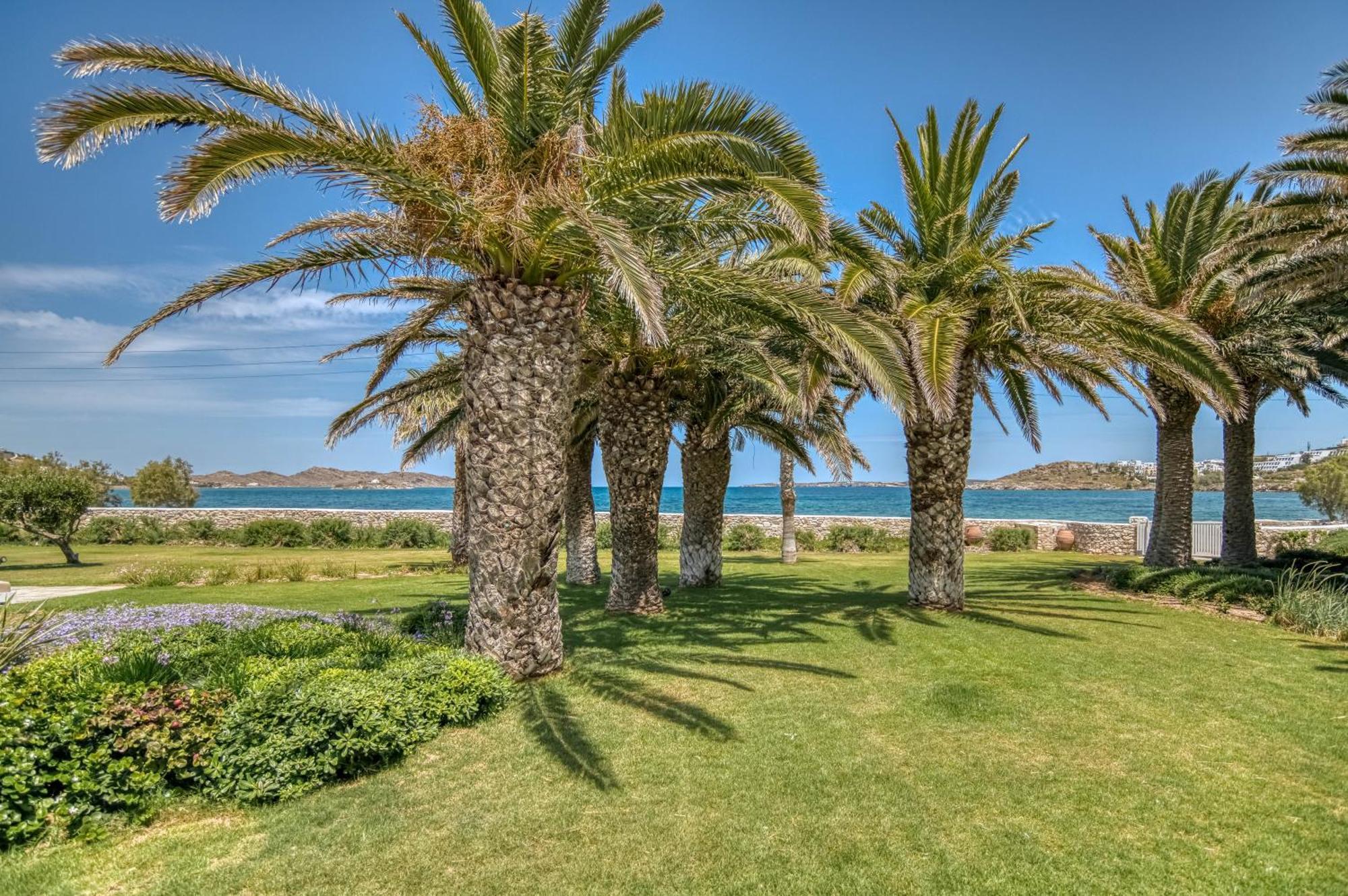 Villa Bellonia Naoussa Esterno foto
