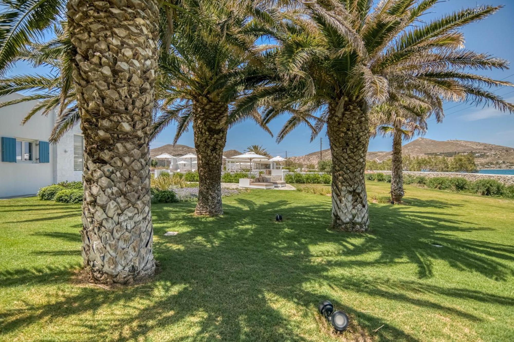 Villa Bellonia Naoussa Esterno foto
