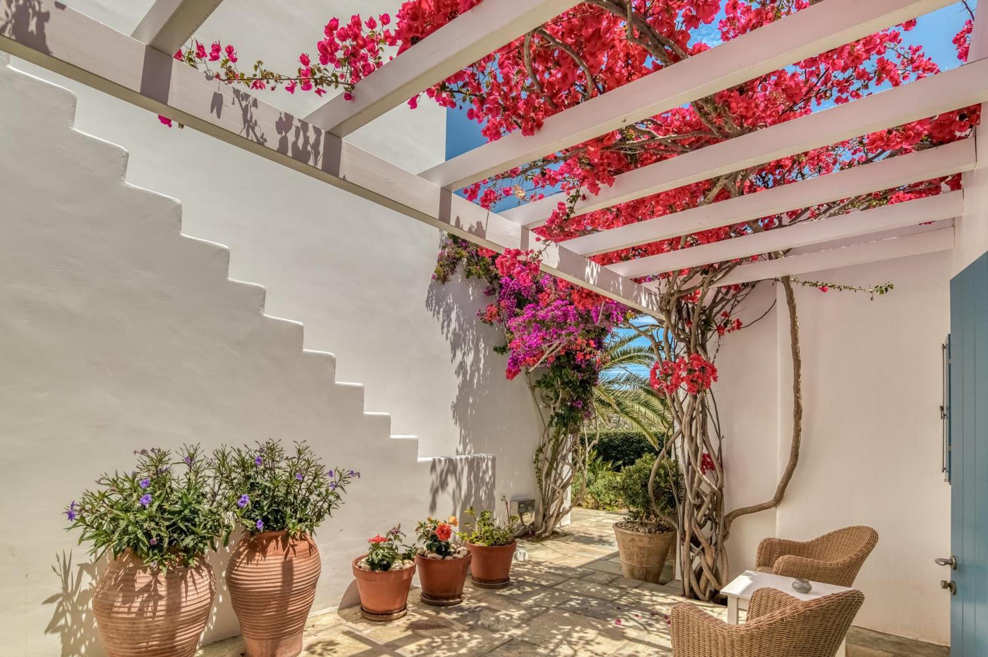 Villa Bellonia Naoussa Esterno foto