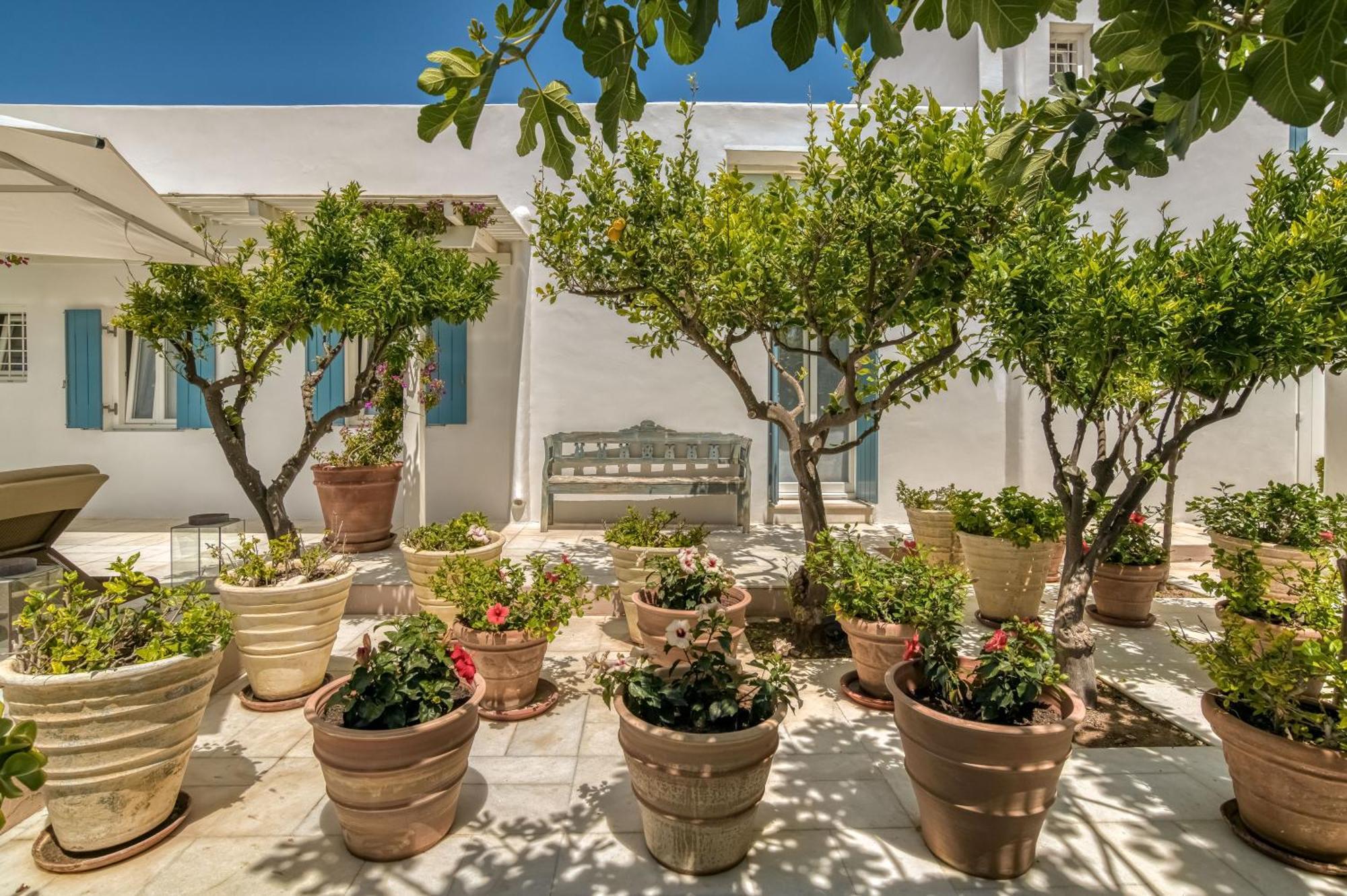 Villa Bellonia Naoussa Esterno foto