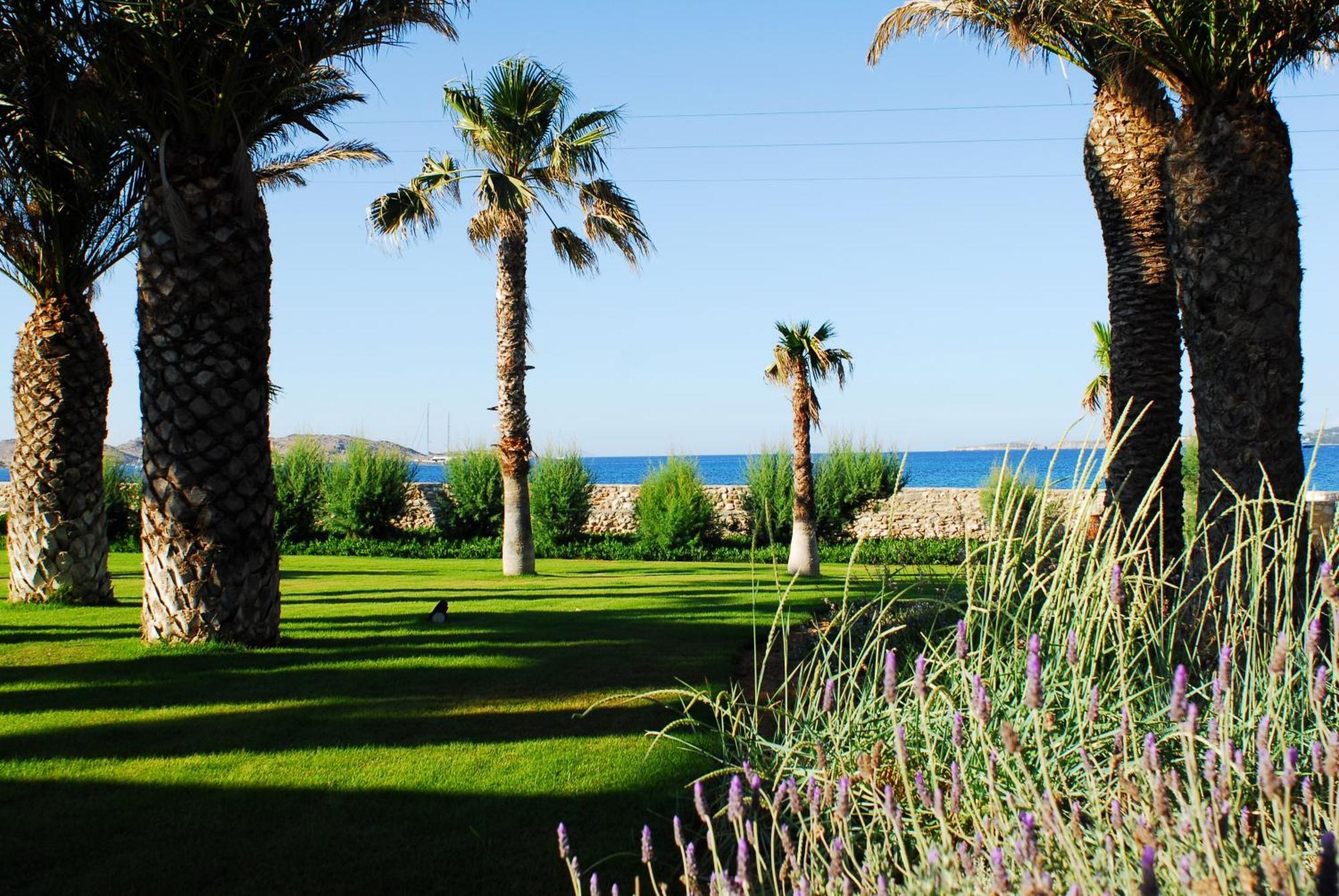 Villa Bellonia Naoussa Esterno foto